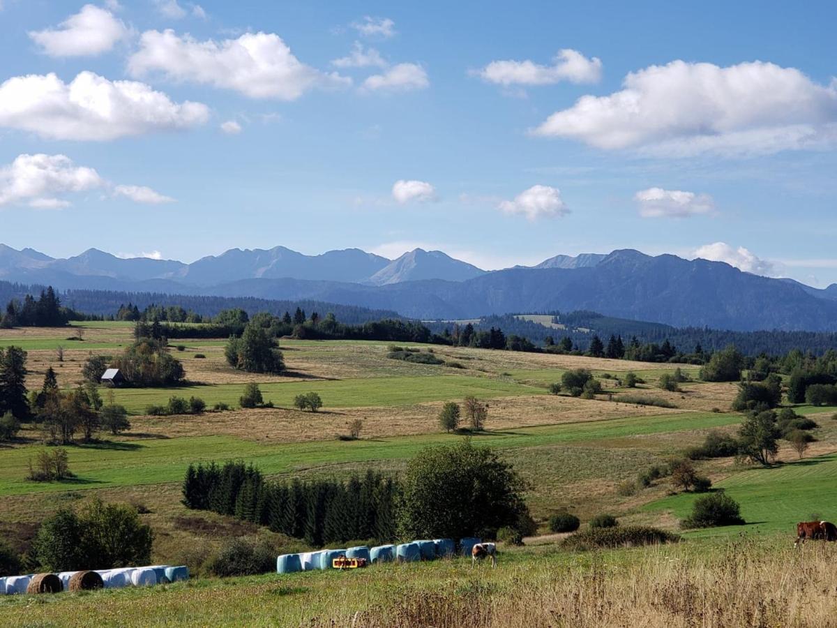 Domki I Pokoje Obok Term Chocholow U Tadka Exterior foto